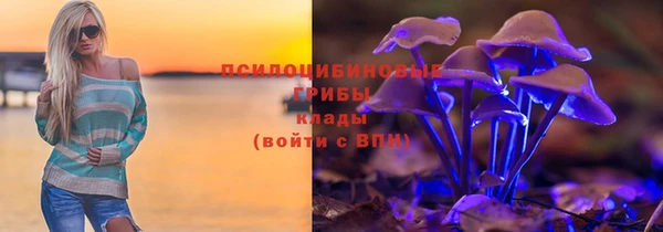 стафф Карпинск