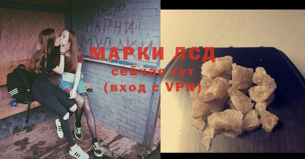 стафф Алексин