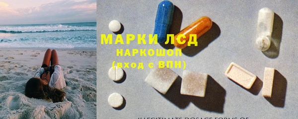 стафф Алексин