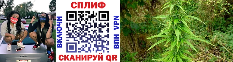 blacksprut ТОР  Казань  Конопля тримм  купить наркотик 